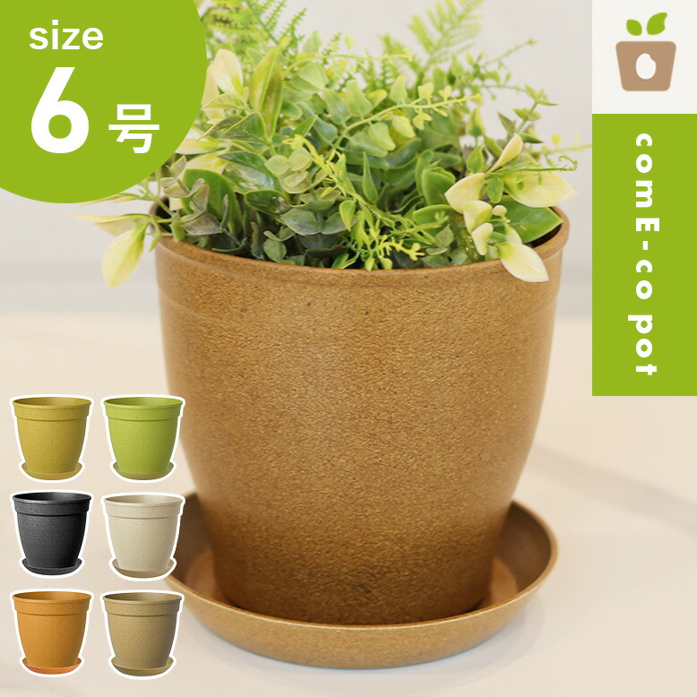 Come-co pot 6号 高さ17cm