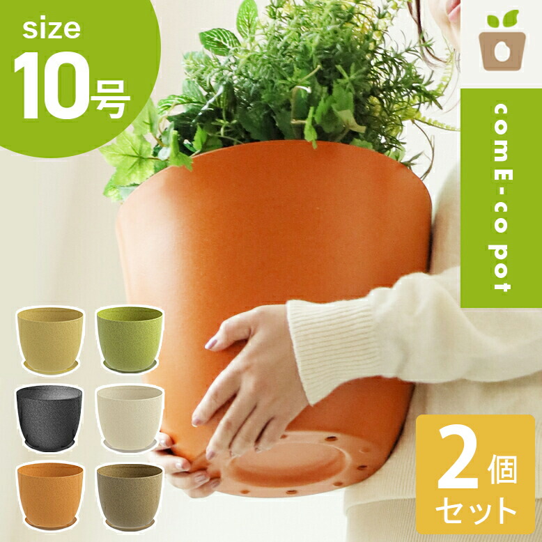 先行予約 Come-co pot コメエコポット 10号 2個セット【送料無料